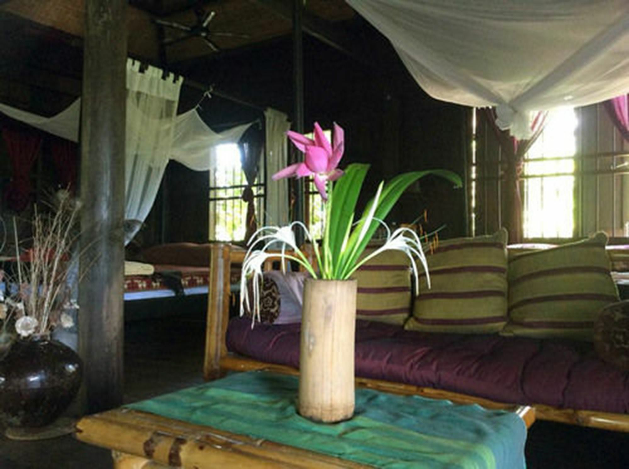 The Bong Thom Homestay Siem Reap Exterior foto